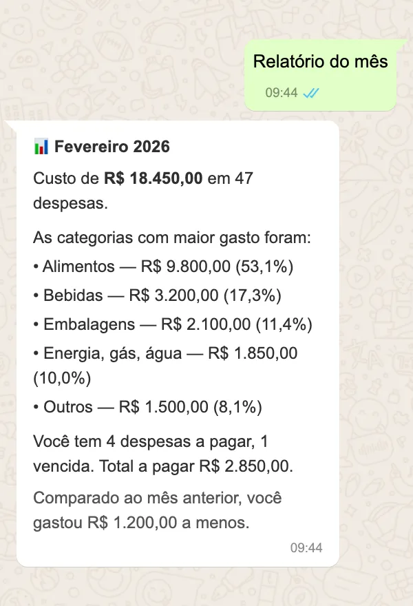 Consulta WhatsApp — relatório do mês